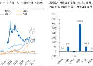 iM증권 "비트코인 채굴 기업, AI 전환에 주가 급등…전환사채 리스크는 '경계'"