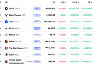 [상승 코인 10] CATX·BPX 등 급등…24시간 기준 상승률 최대 3265%