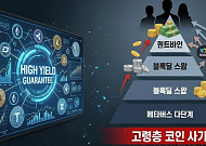 미신고 가상자산 사업자 활개…고령층 노린 코인 폰지 주의보
