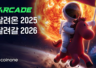 코인원 커뮤니티 “최대 비트코인 보유액 382억 원”