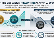 'DAT 재평가' mNAV 0.1배대 등장, 선도주·후발주 양극화