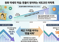 환율 헷지는 역시 비트코인…가격 떨어졌는데 환율이 낙폭 상쇄