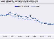 LS증권 "DAT 기업, 현 시점에서 반등 기대보다 변동성 경계"