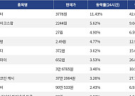 [코인시황] 라이터 11.43% 상승, 바이낸스라이프 8.75% 하락
