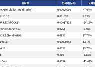 [신규 코인 톱10] Baby Asteroid 47.64% 상승, NINEHOOD 8.59% 상승