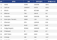 [인기 검색 코인 톱15] Cash Cat 63%·HOME 38% 급등…밈코인·신규 상장주에 관심 집중