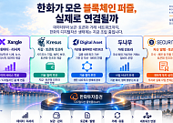 [한화의 꿈 ③] 한화가 모은 블록체인 퍼즐, 실제로 연결될까