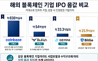 [블록체인 IPO 시대 ②] “비교할 회사가 없다” 블록체인 기업 몸값 어떻게 매기나