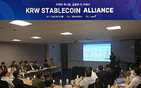 다날, 원화 기반 스테이블코인 얼라이언스 밋업