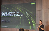 카이아 "원화 스테이블코인, 디폴트 체인 될 것"