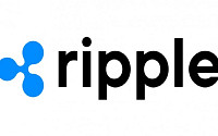 리플, 5억 달러 신규 투자 유치…기업가치 400억 달러로 ‘3배 점프’