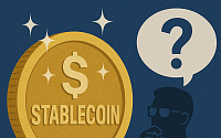 뜨거운 감자 ‘원화 스테이블코인’...학계, 통화주권 약화·불법 유출 우려