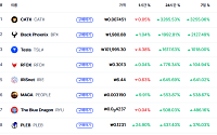 [상승 코인 10] CATX·BPX 등 급등…24시간 기준 상승률 최대 3265%