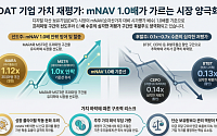 'DAT 재평가' mNAV 0.1배대 등장, 선도주·후발주 양극화