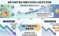 환율 헷지는 역시 비트코인…가격 떨어졌는데 환율이 낙폭 상쇄