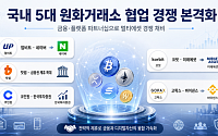국내 코인거래소, 금융·플랫폼 손잡고 ‘멀티에셋’ 경쟁 채비