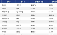[하락 코인 10] 밈코어 -14.07% 급락, 칠리즈 -5.51% 하락
