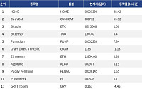 [인기 검색 코인 톱15] Cash Cat 63%·HOME 38% 급등…밈코인·신규 상장주에 관심 집중