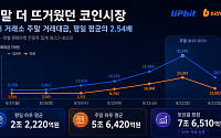 주말 뜨거웠던 코인시장…국내 거래대금, 평일의 2.54배