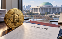 민주당서도 코인 과세 유예 추진, 여야 법안은 시점·조건 제각각