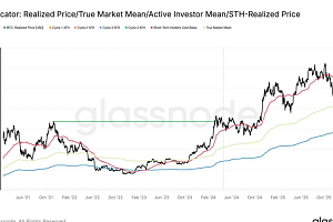 비트코인, 온체인 ‘공정가치선’ 하회…6만~6만 9000달러 수요대 주목