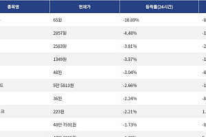 [하락 코인 10] 나이트 토큰 -10.89% 하락, 레이어제로 -4.48% 약세