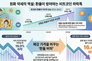 환율 헷지는 역시 비트코인…가격 떨어졌는데 환율이 낙폭 상쇄