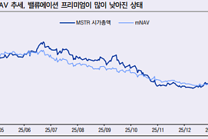 LS증권 "DAT 기업, 현 시점에서 반등 기대보다 변동성 경계"