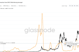 '비트코인 온체인 냉각' 거래 수수료 15년 만에 최저권