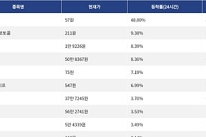 [상승 코인 10] 스테이블 48.80% 급등, 휴머니티 프로토콜 9.38% 상승세