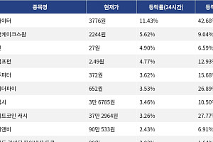 [코인시황] 라이터 11.43% 상승, 바이낸스라이프 8.75% 하락