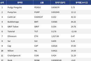[인기 검색 코인 톱15] Bubblemaps 84% 급등…밈코인·중소형 알트에 매수세 집중