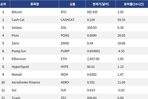 [인기 검색 코인 톱15] Cash Cat 59% 급등…비트코인·솔라나도 회복세
