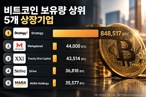 비트코인 보유 상위 5개사 '100만BTC' 돌파, 스트래티지에 84% 집중