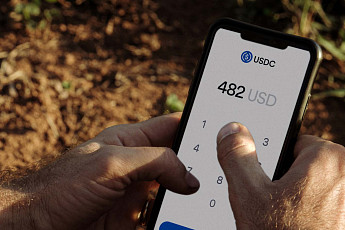 10억 초과 코인 보유자 1만명 돌파…50대 최다