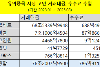 “양적 성장 끝났다” 글로벌·한국 가상자산 시장, ‘규제 정착기’ 진입