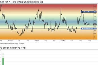 iM증권 “2025년 알트코인 장세, ‘실종’…단기 투자심리 위축은 아냐”