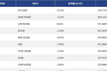 [거래량 톱 코인 10] 비트코인 1억 158만원, 이더리움 294만 9936원