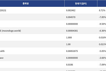 [신규 코인 톱10] HODL (hodl2013) 8.71% 상승, Playnance -7.85% 하락