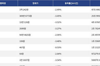 [거래량 톱 코인 10] 비트코인 1억 242만, 이더리움 309만 6773원