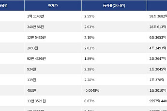 [거래량 톱 코인 10] 비트코인 1억 1143만 원, 이더리움 340만 86원