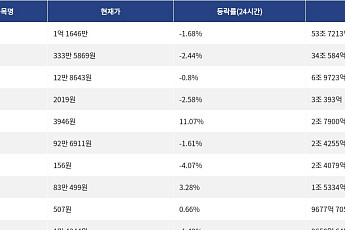 [거래량 톱 코인 10] 비트코인 1억 1646만 원, 이더리움 333만 5869원
