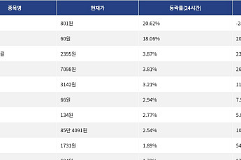 [상승 코인 10] SKYAI 20.62% 급등, 스테이블 18.06% 상승세