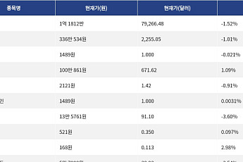 [시총 톱 코인 10] 비트코인 1.52% 하락... 이더리움 1.01% 하락, 리플 0.91% 하락
