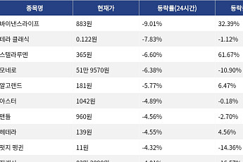 [하락 코인 10] 바이낸스라이프 -9.01% 하락, 테라 클래식 -7.83% 약세