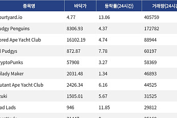 [핫 NFT] Courtyard.io, 일 거래량 40만달러 돌파… 바닥가 4.77달러
