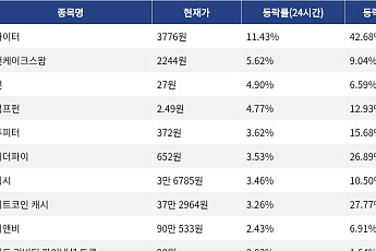 [코인시황] 라이터 11.43% 상승, 바이낸스라이프 8.75% 하락