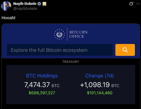 (사진= 나입 부켈레 엘살바도르 대통령 공식 X)