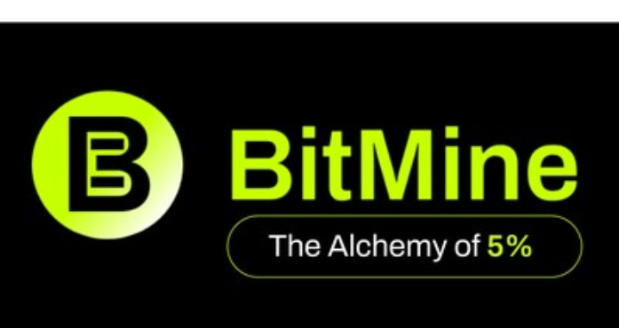 ▲비트마인(BitMine)  (출처=비트마인 홈페이지)