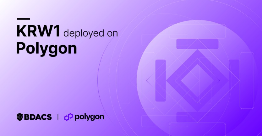 (사진=비댁스(BDACS))